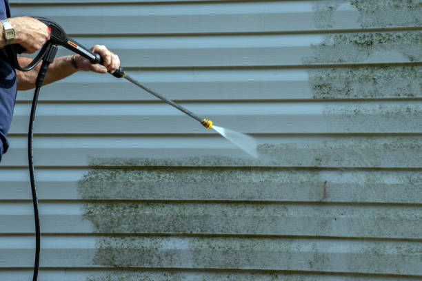 Best Roof Cleaning and Mildew Removal in Harrison, NY